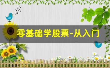 零基础学股票-从入门到高级(零基础学股票从入门到精通)_https://www.luoxuangg888.com_北交所_第1张