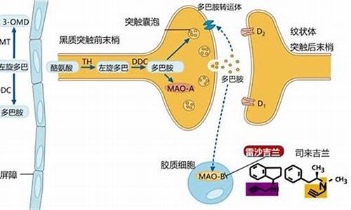 雷沙吉兰作用机制是什么-雷沙吉兰的药理作