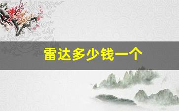 雷达多少钱一个(比亚迪毫米波雷达多少钱一个)_https://www.xzdzcjx.com_北交所_第1张
