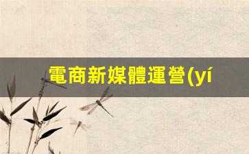 電商新媒體運營(yíng)插圖