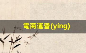 電商運營(yíng)怎么做如何從零開(kāi)始插圖