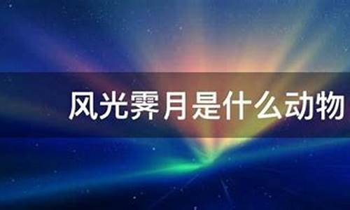 霁月象征什么动物生肖呢_霁月象征什么动物生肖