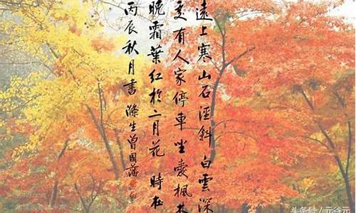 霜叶红于二月花全诗是什么数字_霜叶红于二月花全诗是什么