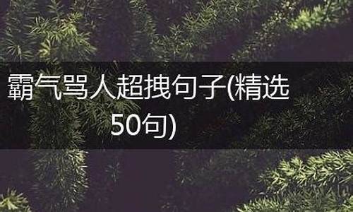 霸气骂人超拽句子_霸气骂人超拽句子短