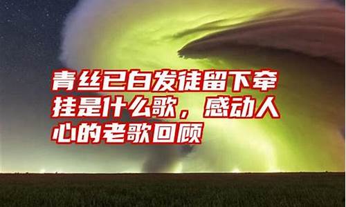 青丝已白发徒留下牵挂是什么歌_青丝已白发徒留下牵挂是什么歌词