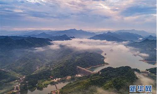 青山绿水白云间是哪首歌的歌词-青山绿水白云飘打一生肖