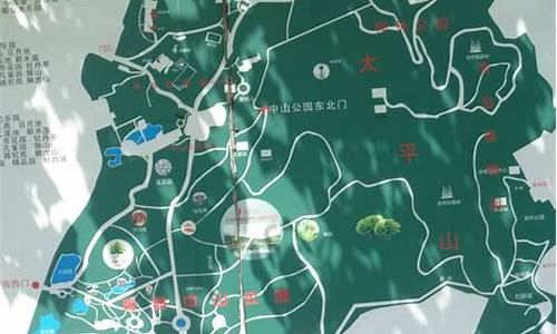 青岛中山公园地图_青岛中山公园地图平面图