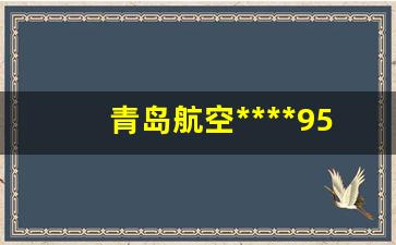 青岛航空公司电话95080号(青岛航空公司)_https://www.xzdzchf.com_深交所_第1张