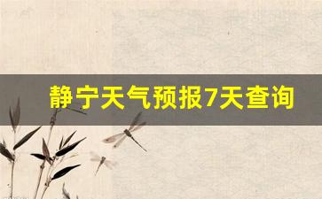 静宁天气预报7天气_静宁天气预报7天查询