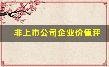 非上市公司企业价值评估方法(非上市公司股权价值评估方法)_https://www.wguangz.com_广期所_第1张
