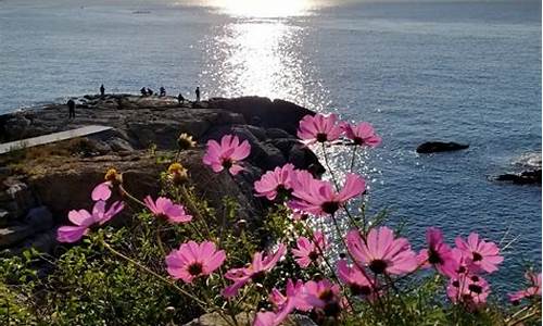 冬天面朝大海_面朝大海天气好冷