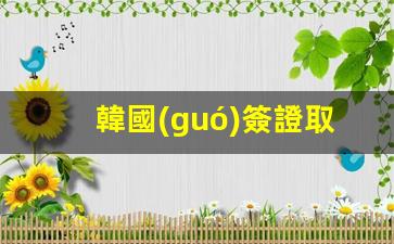 韓國(guó)簽證取消紙質(zhì)簽證(韓國(guó)簽證失效了嗎2020)