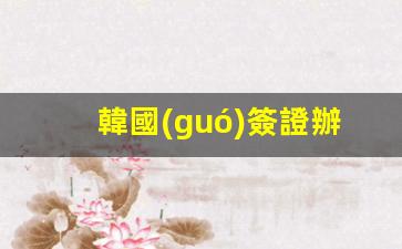 韓國(guó)簽證辦理官網(wǎng)北京(韓國(guó)簽證如何辦理)