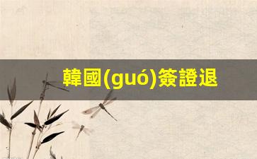 韓國(guó)簽證退錢(qián)(韓國(guó)簽證怎么辦理需要多少錢(qián))