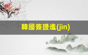 韓國簽證進(jìn)度查詢(韓國簽證進(jìn)度查詢中文版官網(wǎng))