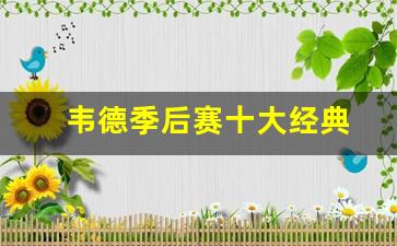 韦德季后赛十大经典-韦德最后一次季后赛
