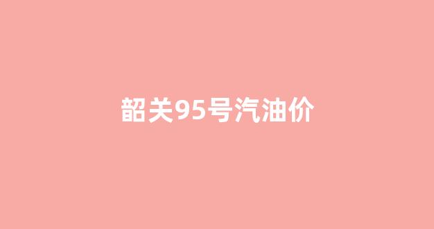 韶关95号汽油价格表_韶关95号汽油价