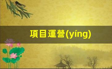 項目運營(yíng)需要怎么做插圖
