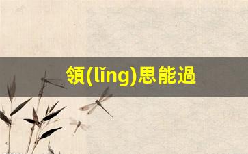 領(lǐng)思申請馬來西亞簽證詳解，用途與簽證通過率揭秘