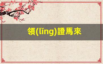領(lǐng)證馬來西亞簽證要求是什么(領(lǐng)證馬來西亞簽證要求是什么呢)