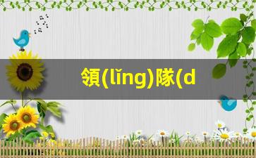 領(lǐng)隊(duì)和簽證官的對(duì)話英語(yǔ)(領(lǐng)隊(duì)和游客的英語(yǔ)情景對(duì)話)