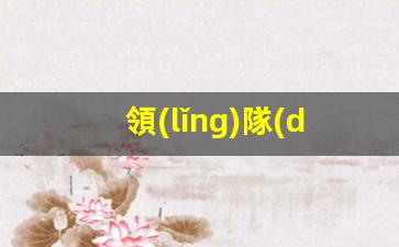 領(lǐng)隊(duì)和簽證官的對(duì)話英語(領(lǐng)隊(duì)和游客的英語情景對(duì)話)