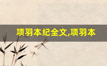 项羽本纪全文,项羽本纪讲了什么,项羽本纪经典句子-第1张图片-我的生活随想