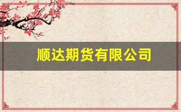 顺达期货有限公司(顺达国际货运代理有限公司)_https://www.xzdzcjn.com_深交所_第1张