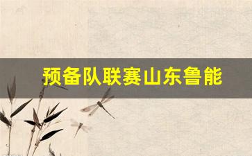 预备队联赛山东鲁能-鲁能预备队最新名单