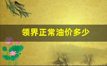 领界正常油价多少_领界油耗实际多少钱一公里