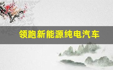 领跑新能源纯电汽车(领跑新能源纯电汽车排行榜)_https://www.huakunhengjia.com_期货资讯_第1张