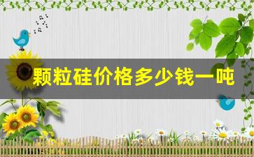 颗粒硅价格多少钱一吨(颗粒硅价格走势)_https://www.wguangz.com_大商所_第1张