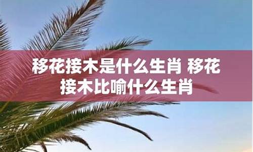 风姿可以比喻什么生肖和动物_风姿可以比喻什么生肖