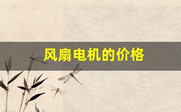 风扇电机的价格(风扇电机)_https://www.hhem8.com_深交所_第1张
