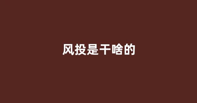 风投是干啥的(风投是干什么的)_https://www.dongshengweixin.com_上交所_第1张
