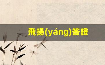 飛揚(yáng)簽證寧波(寧波飛揚(yáng)國際旅游集團(tuán))