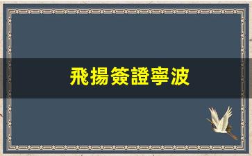 飛揚簽證寧波(寧波飛揚國際旅游集團)
