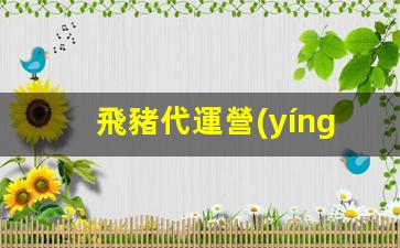 飛豬代運營(yíng)插圖