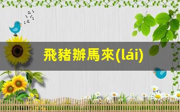 馬來(lái)西亞簽證辦理時(shí)間及費(fèi)用詳解，飛豬平臺(tái)辦理流程全解析