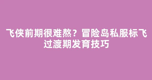 飞侠前期很难熬？冒险岛私服标飞过渡期发育技巧