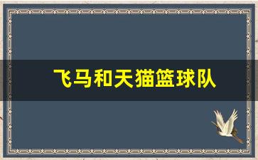 飞马和天猫篮球队-耐克天马和飞马