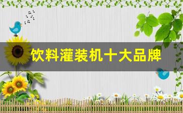 饮料灌装机十大品牌(饮料灌装机十大知名品牌)_https://www.qldgs.com_国际期货_第1张