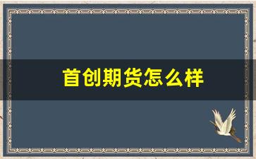 首创期货怎么样(首创期货有限公司)_https://www.xzdzcjn.com_科创板_第1张