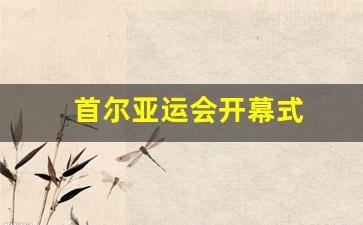 首尔亚运会开幕式-首尔亚运会开幕式图片
