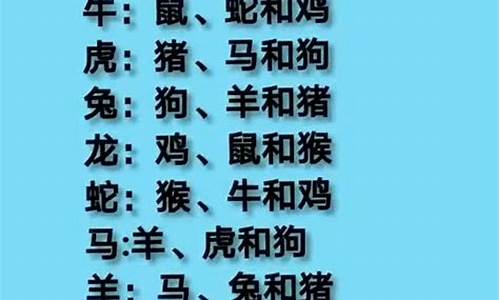 首当其冲形容什么生肖_首当其冲最佳生肖