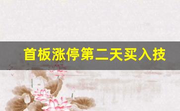 首板涨停第二天买入技巧(首板涨停次日低开买入稳赚法)_https://www.dongshengweixin.com_深交所_第1张
