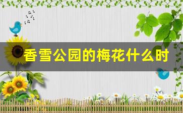 2020游客香雪公园赏梅花-香雪公园的梅花什么时候开