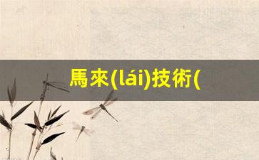 馬來(lái)技術(shù)簽證(馬來(lái)旅游簽證)