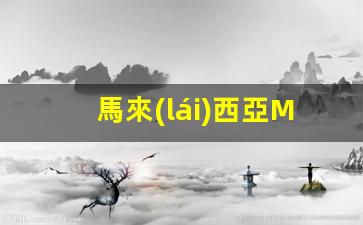 馬來(lái)西亞MRT簽證(馬來(lái)西亞簽證種類(lèi))