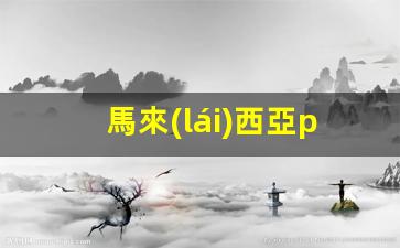 馬來(lái)西亞pvp技術(shù)簽證可以續(xù)簽幾年(馬來(lái)西亞pvp技術(shù)簽證可以續(xù)簽幾年嗎)